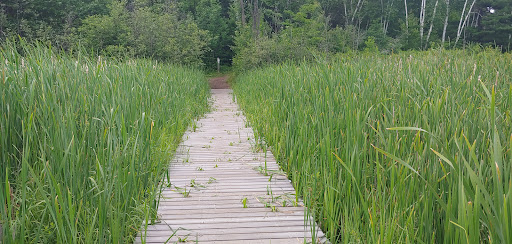 Photo of Laurier Woods Conservation Area - Brule St, North Bay, ON P1A 3Z5
